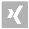 Xing-Icon